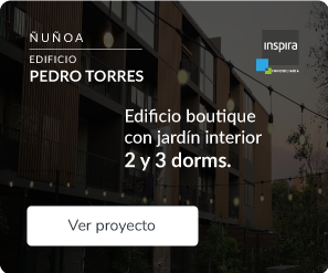 Banner Proyecto Inspira Pedro Torres