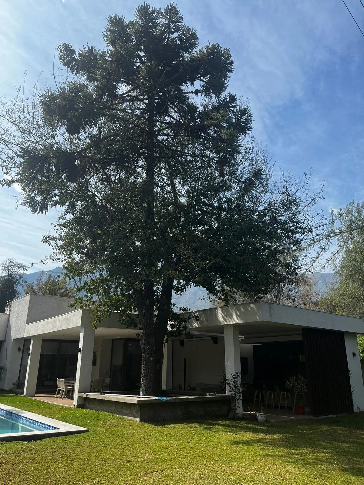 Venta Usado Casa 5D 4B E - La Reina