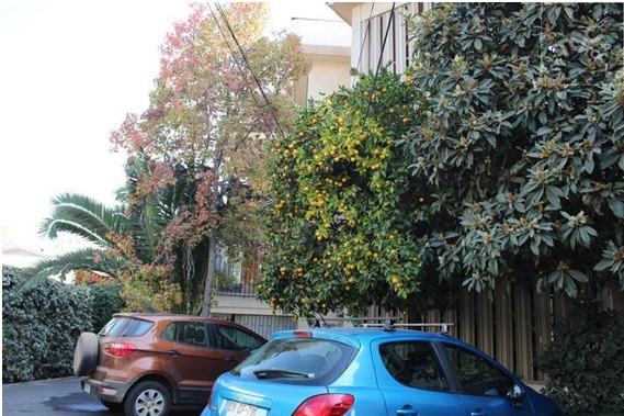 Arriendo Departamento 3D 2B - Providencia