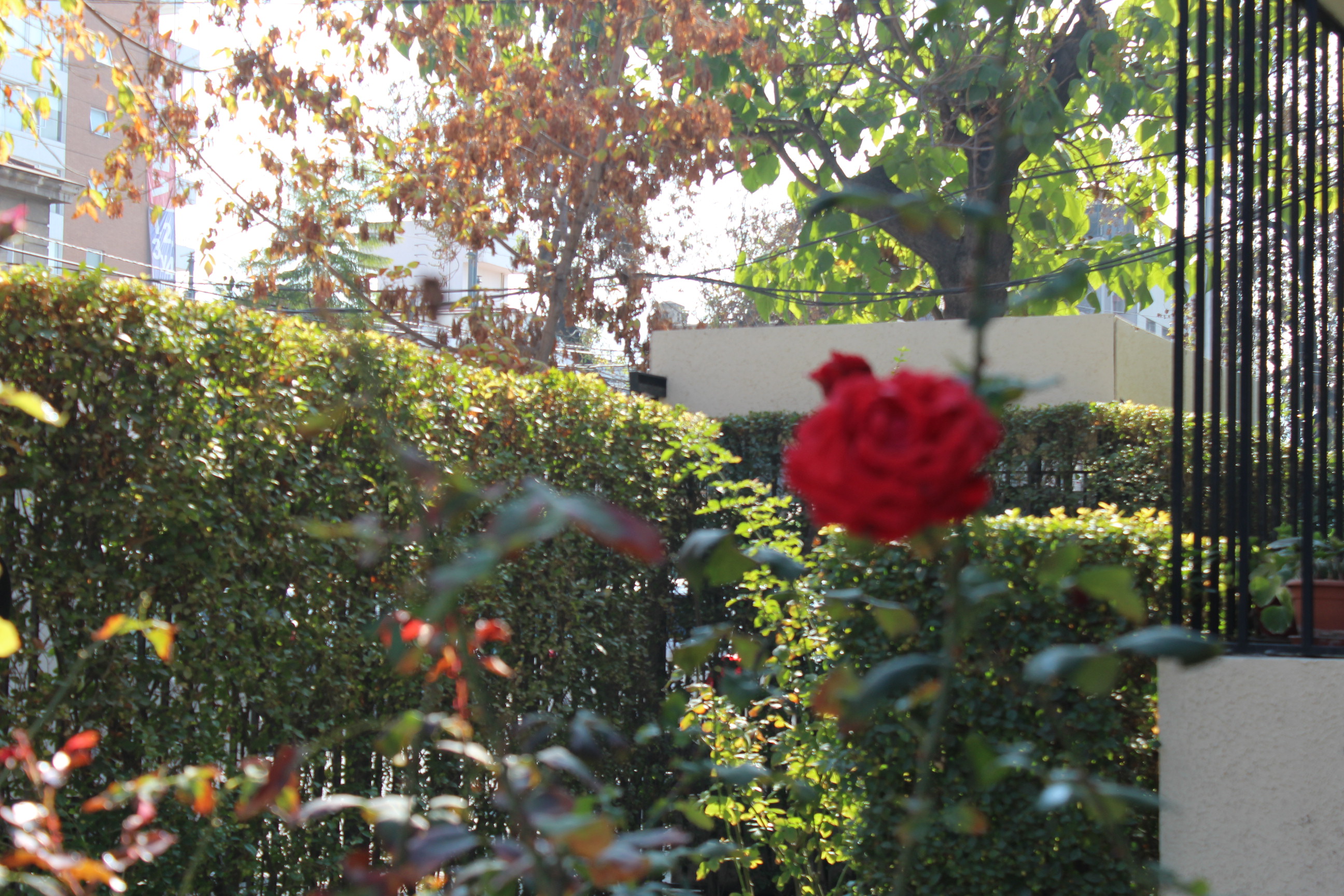 Arriendo Departamento 3D 2B - Providencia