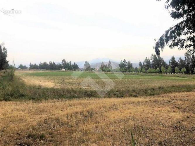 terreno en venta en Colina