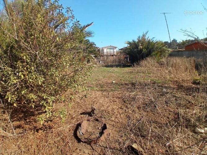 terreno en venta en Zapallar