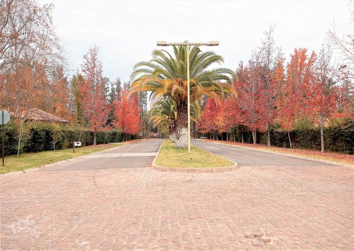 terreno en venta en Colina