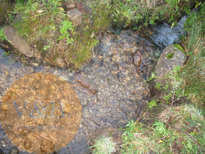 terreno en venta en Lago Ranco