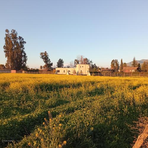 terreno en venta en Buin