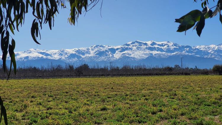 parcela en venta en Rinconada