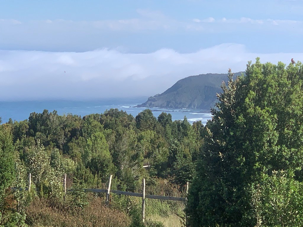 Venta de parcela en los Pellines