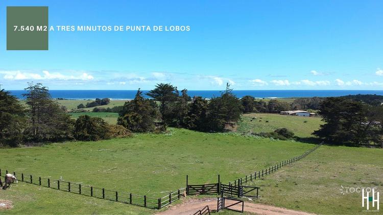 terreno en venta en Pichilemu