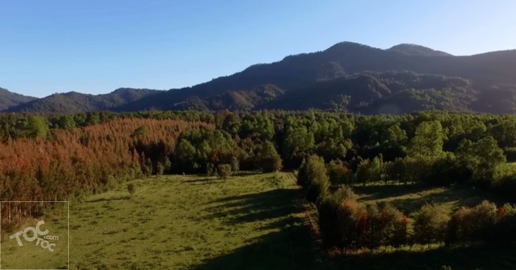 terreno en venta en Villarrica