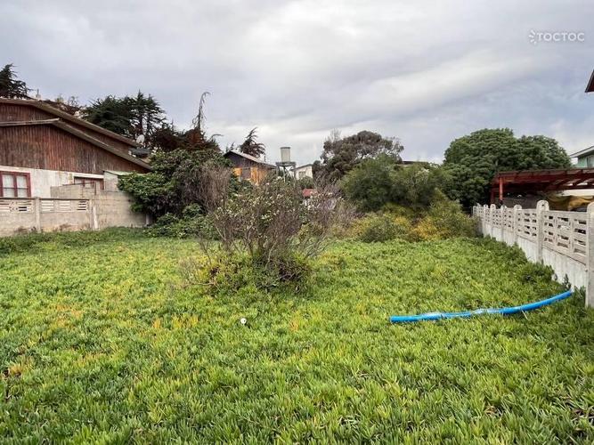 terreno en venta en Zapallar