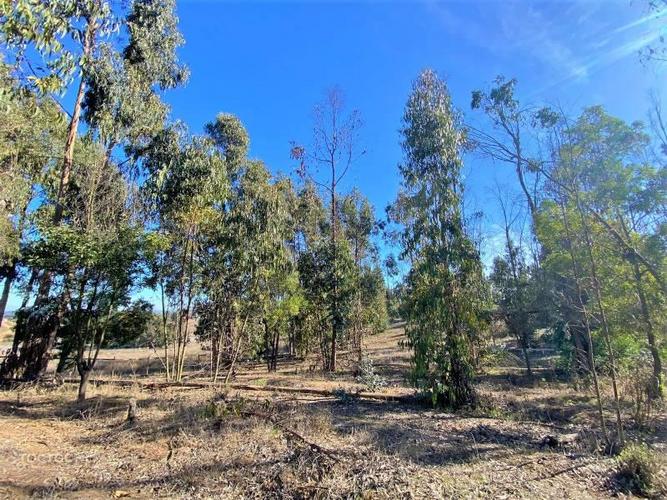 terreno en venta en Puchuncaví