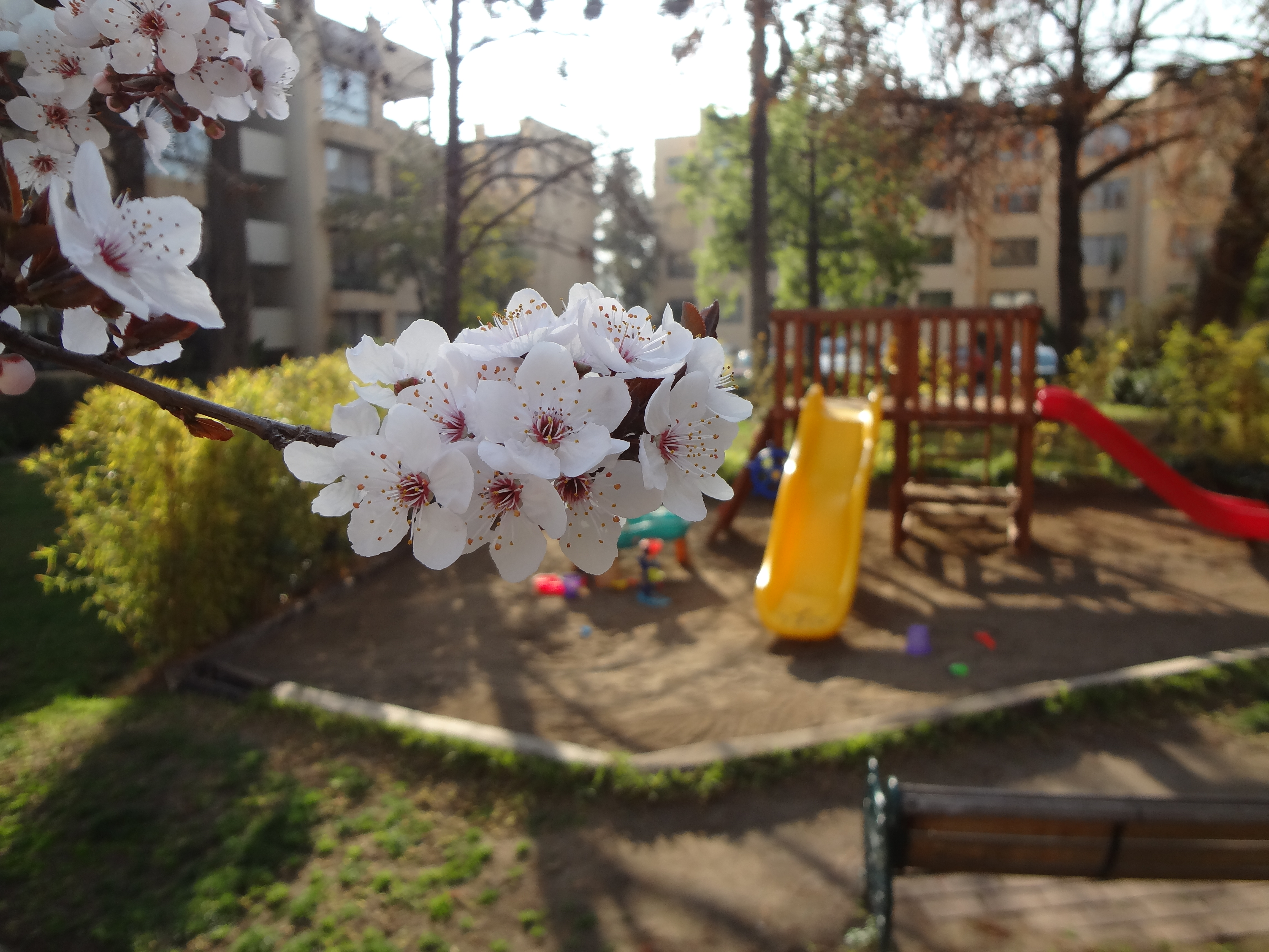 Venta Usado Departamento 3D 2B E - Vitacura