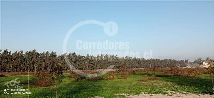 terreno en venta en Colina