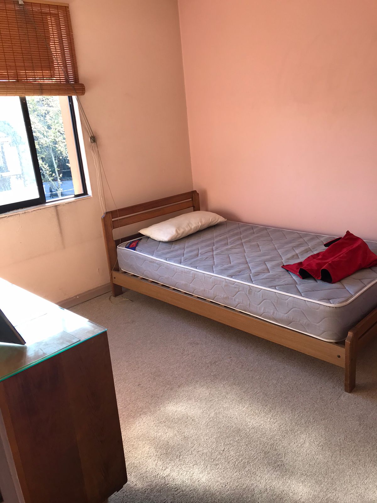 Arriendo Departamento 3D 2B B - Providencia