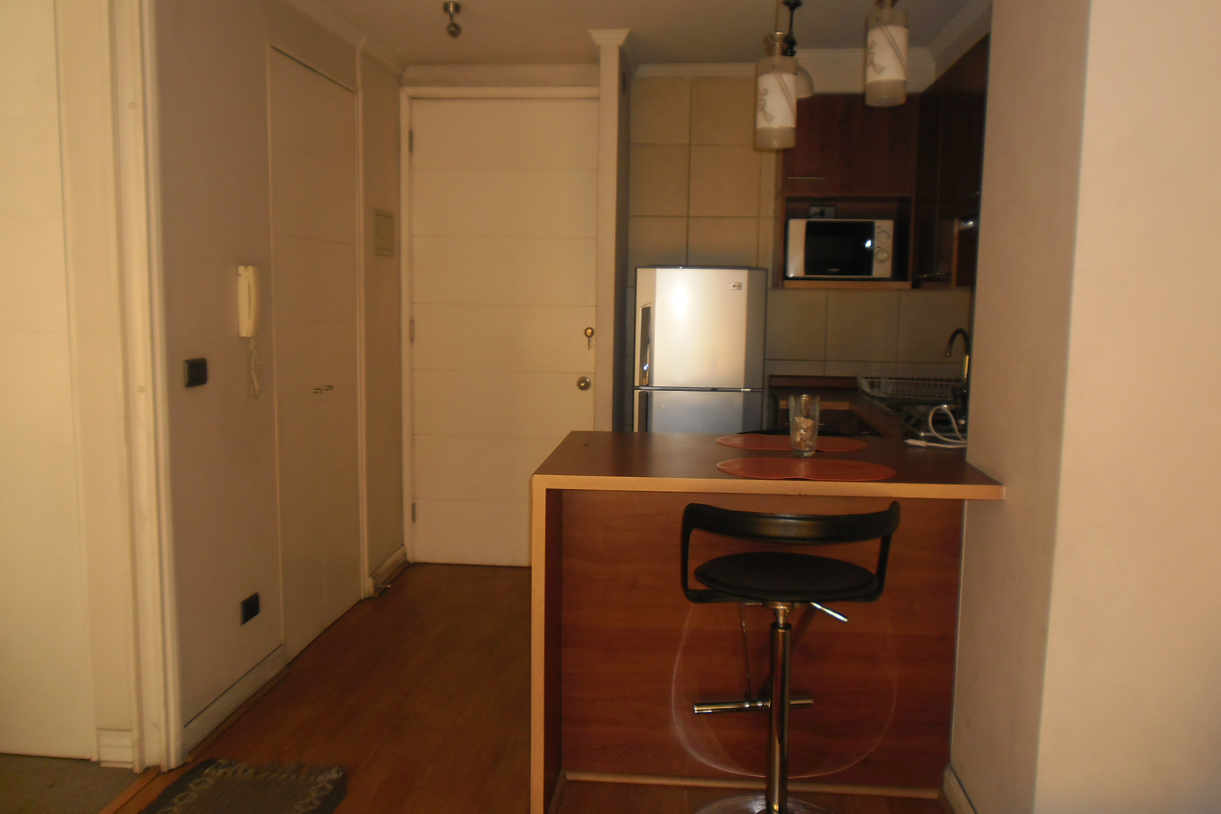 Arriendo Departamento 1D 1B - Providencia