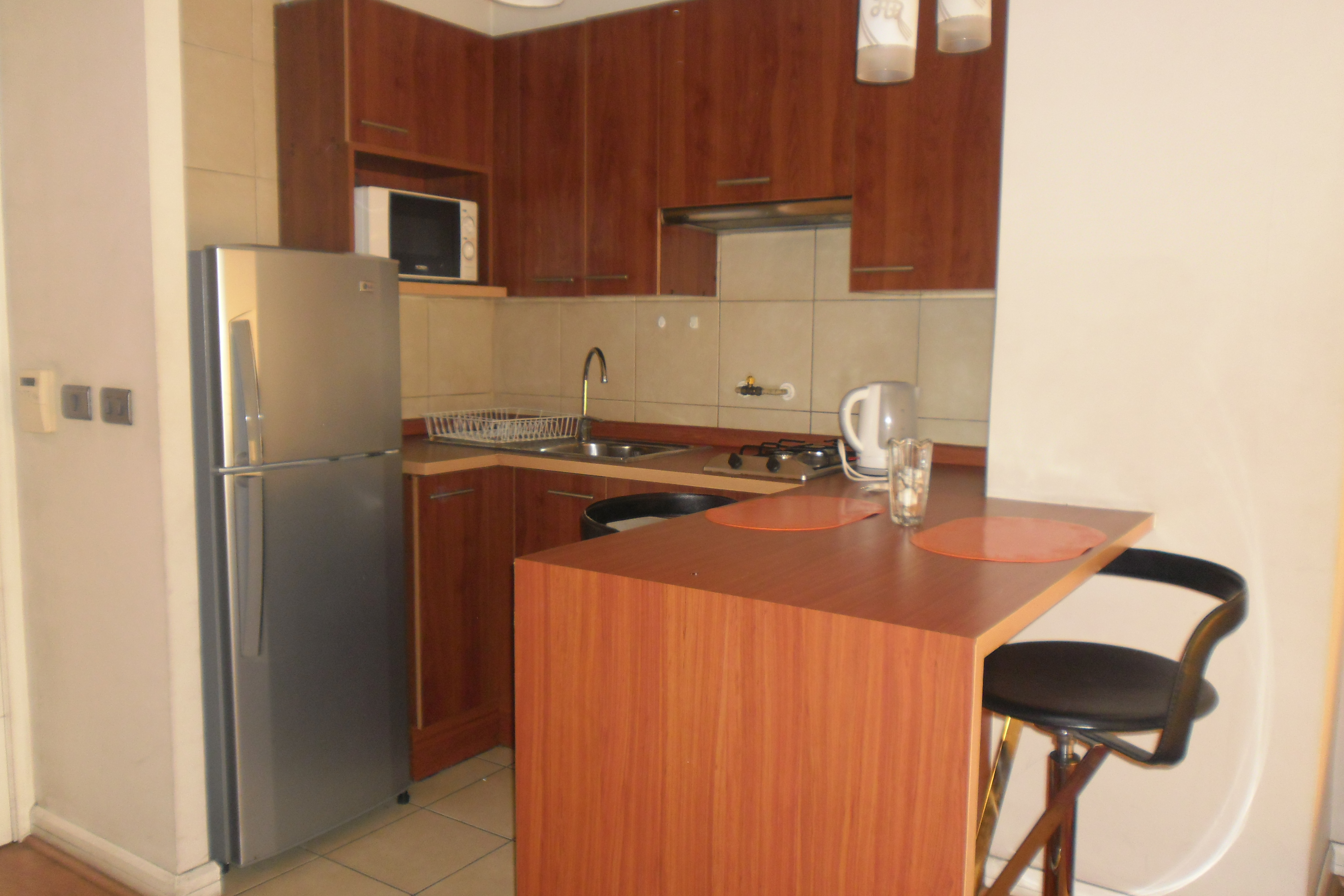 Arriendo Departamento 1D 1B - Providencia