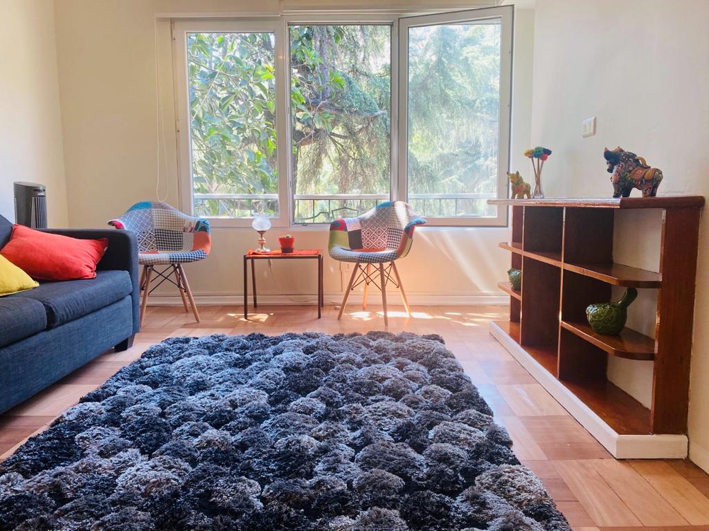 Arriendo Departamento 1D 1B - Providencia