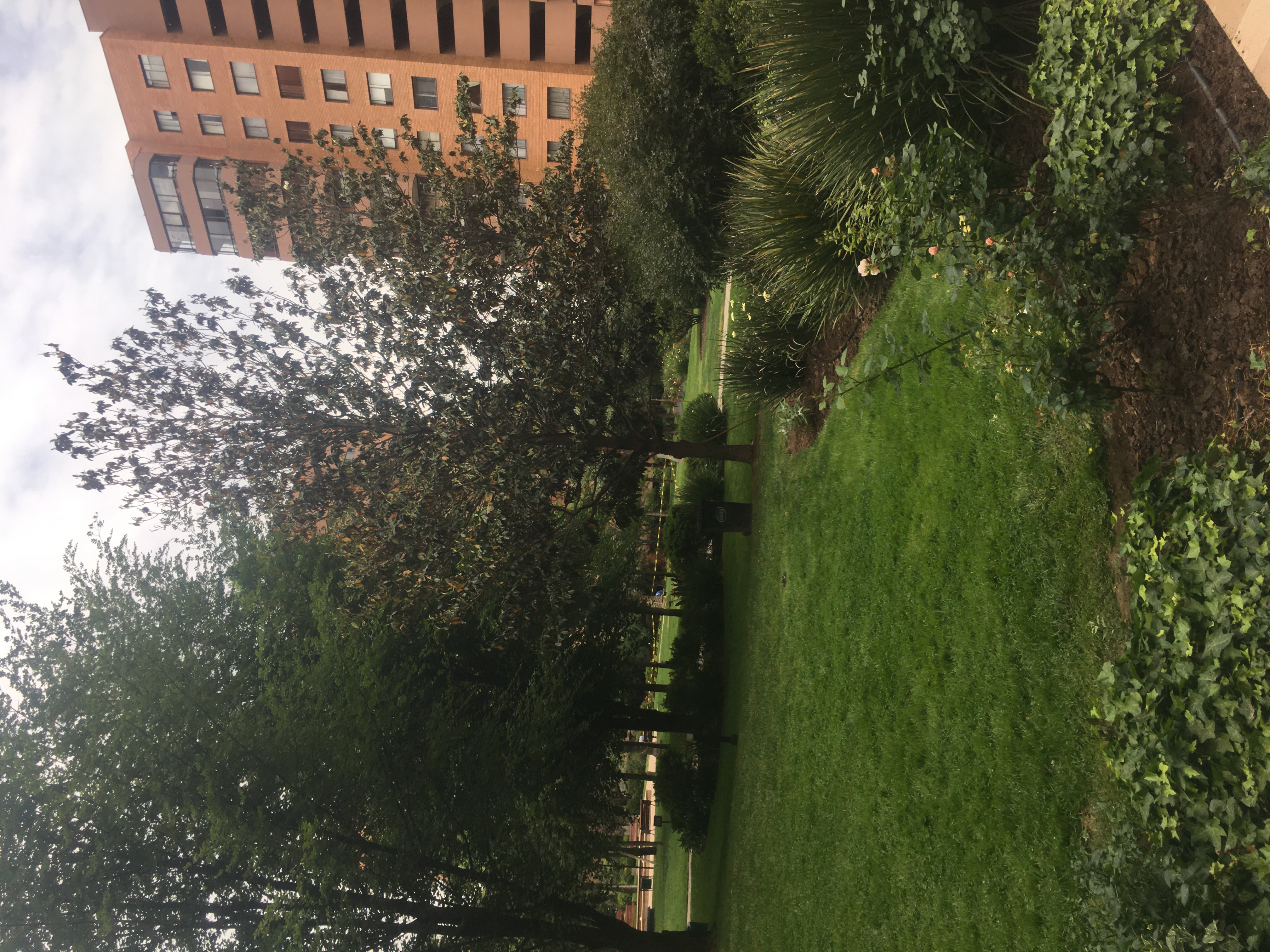 Venta Usado Departamento 3D 2B E B - Providencia