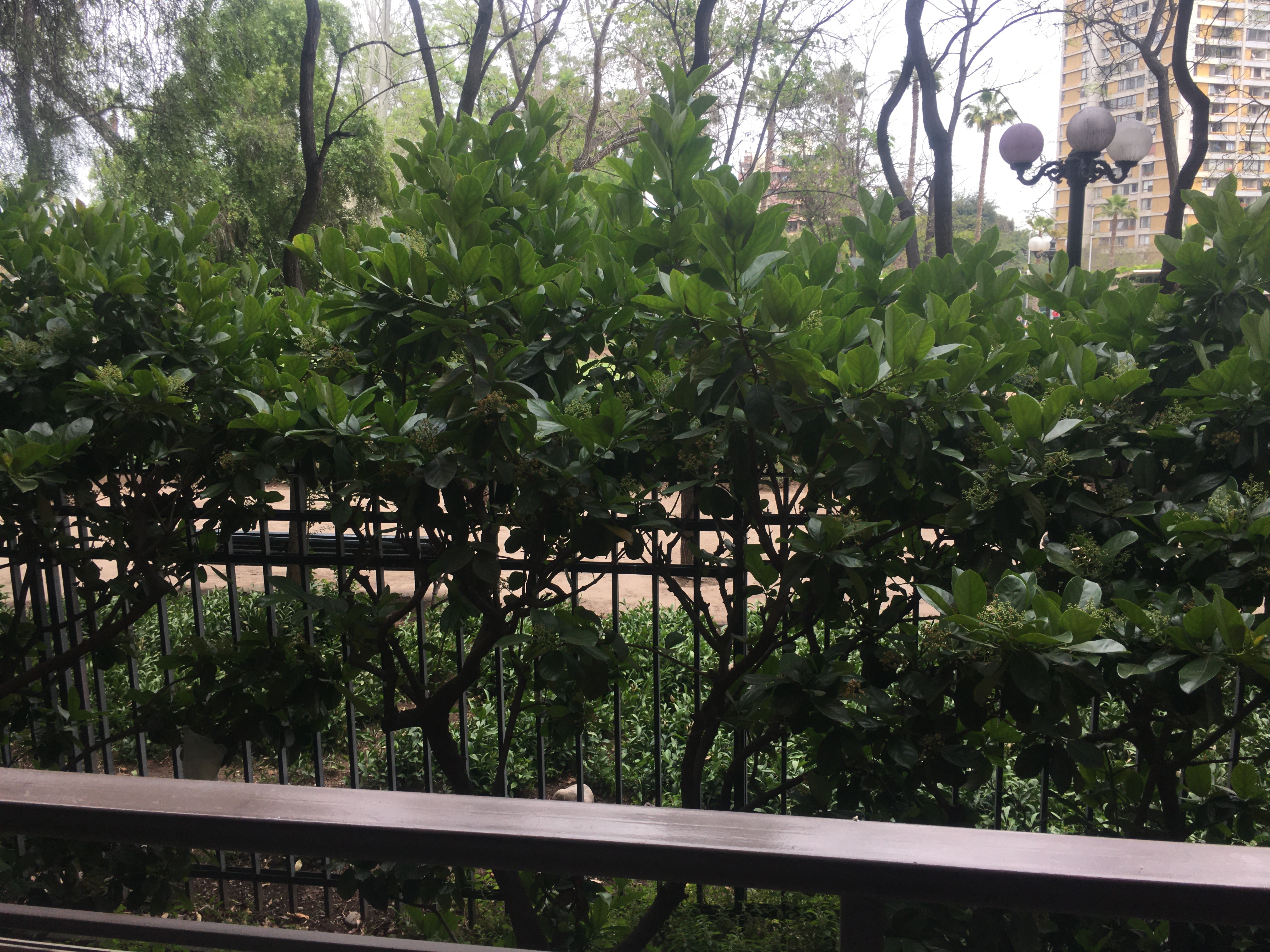 Venta Usado Departamento 3D 2B E B - Providencia