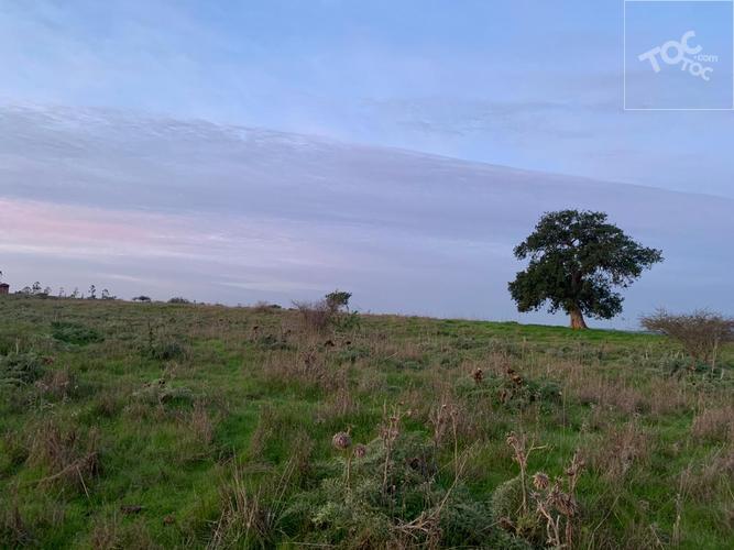 terreno en venta en Santo Domingo