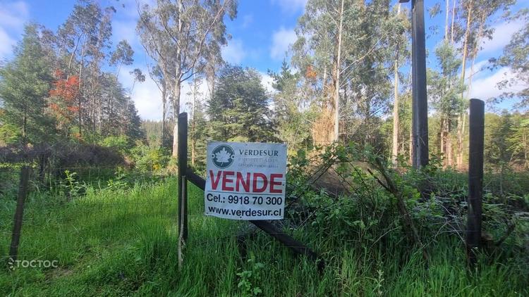 Agro-parcela 9.000 mtrs.2 aprox. sector Casa Blanca - Valdivia