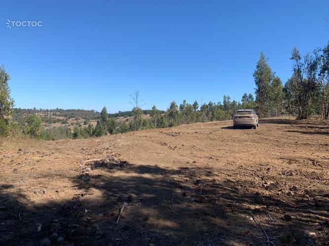 terreno en venta en Litueche