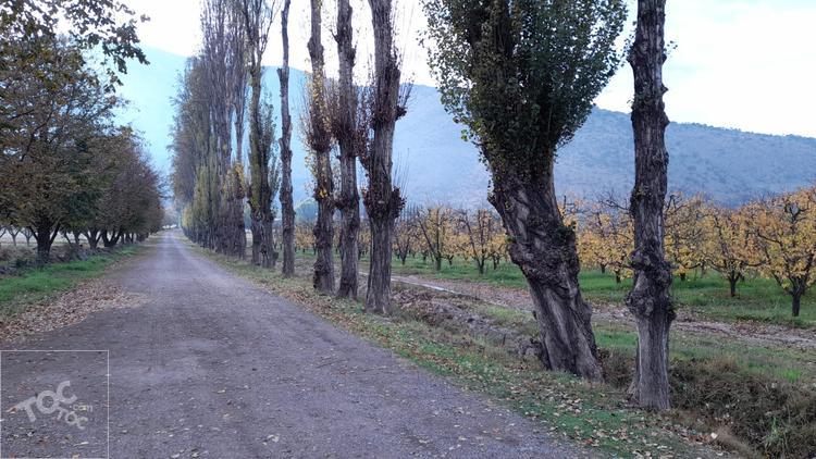 terreno en venta en Paine