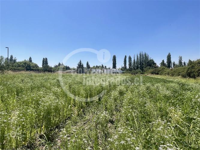 terreno en venta en Colina