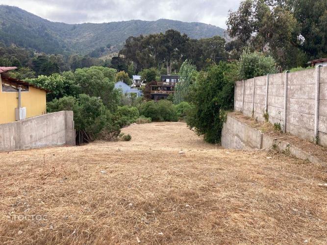 terreno en venta en Zapallar