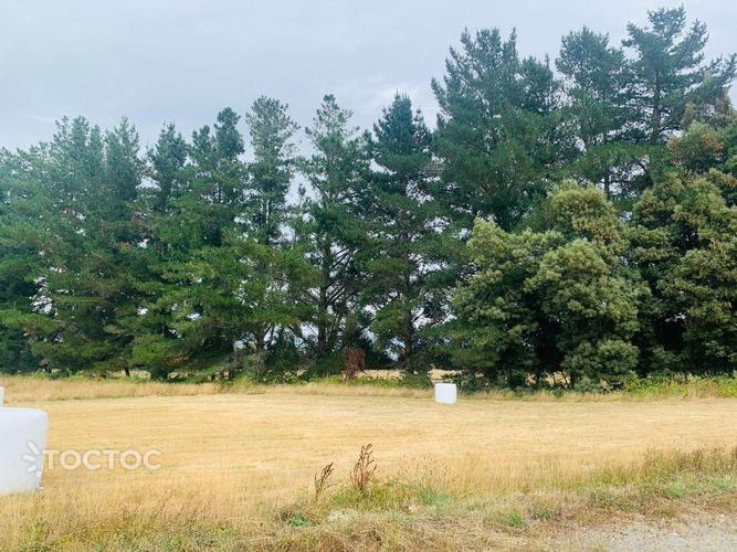 Linda parcela en La Reserva Frutillar