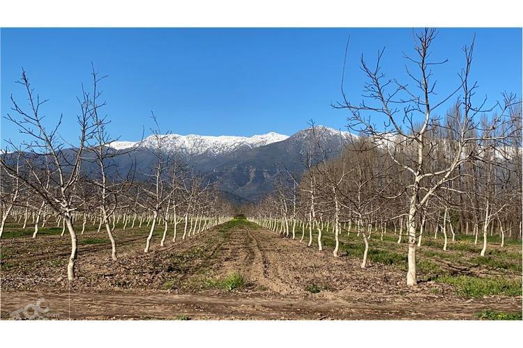 casa en venta en Paine