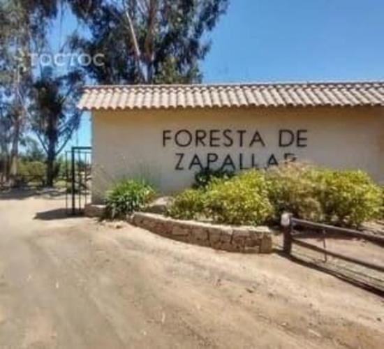 terreno en venta en Zapallar