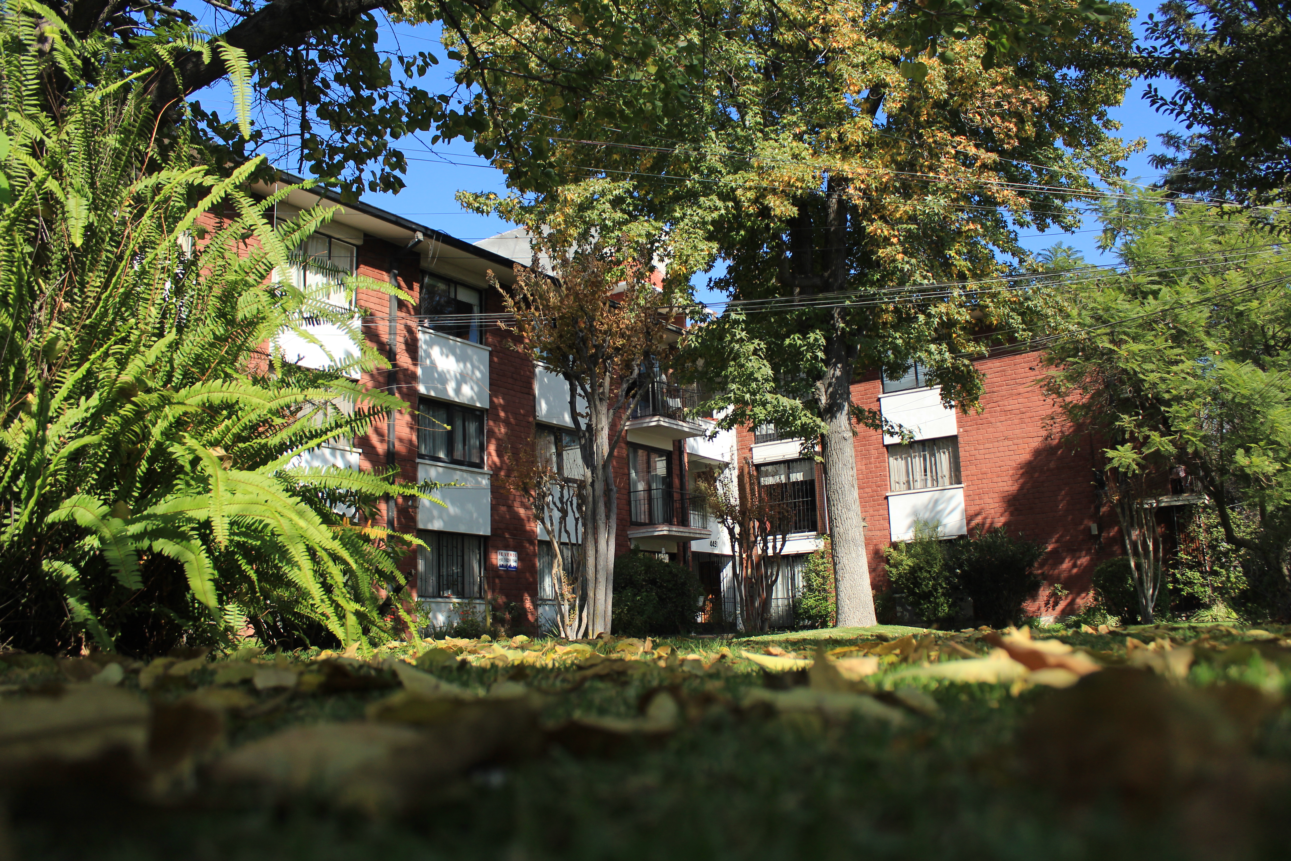 Venta Usado Departamento 3D 2B E - Las Condes