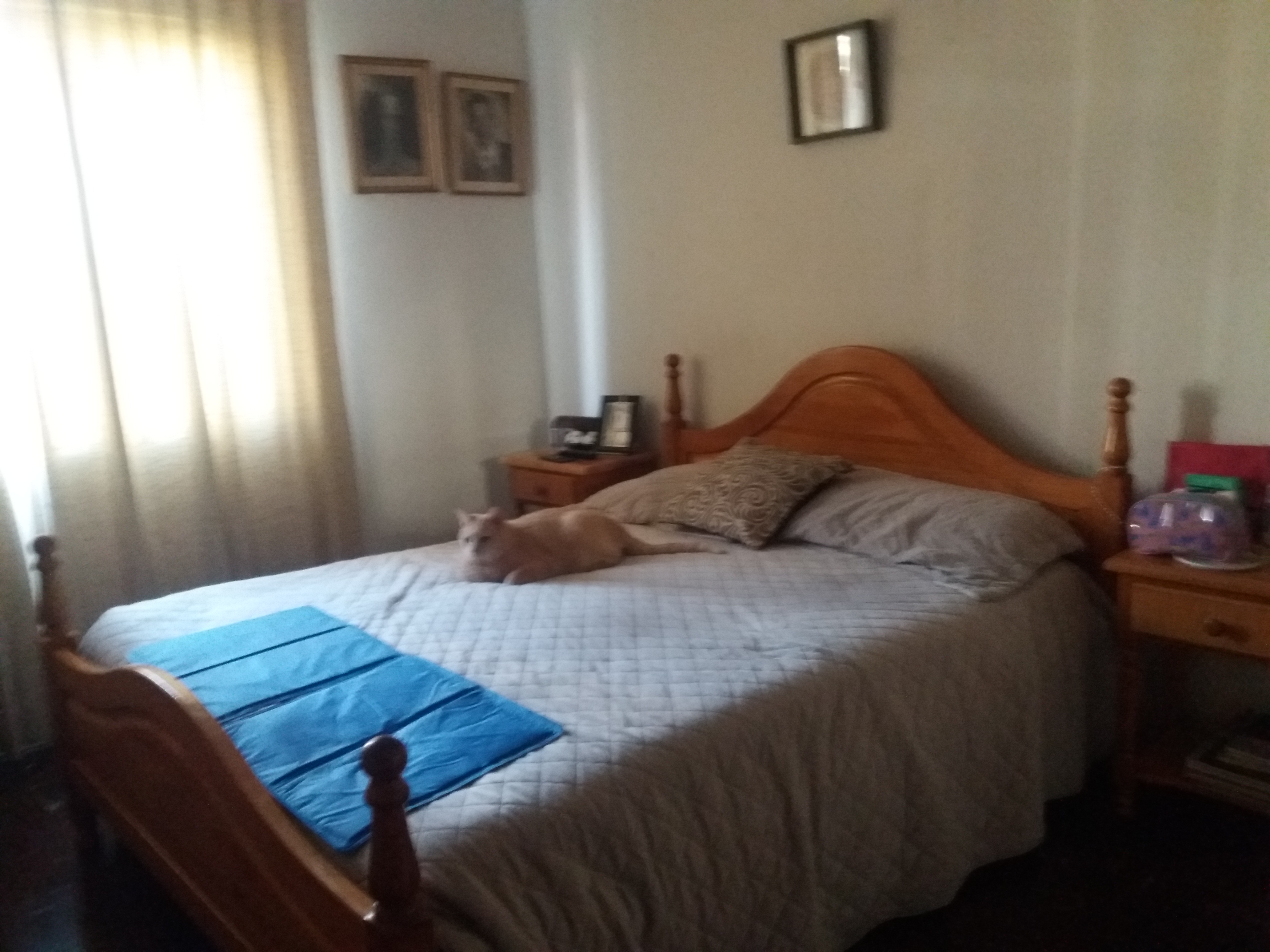 Venta Usado Departamento 3D 2B - Providencia