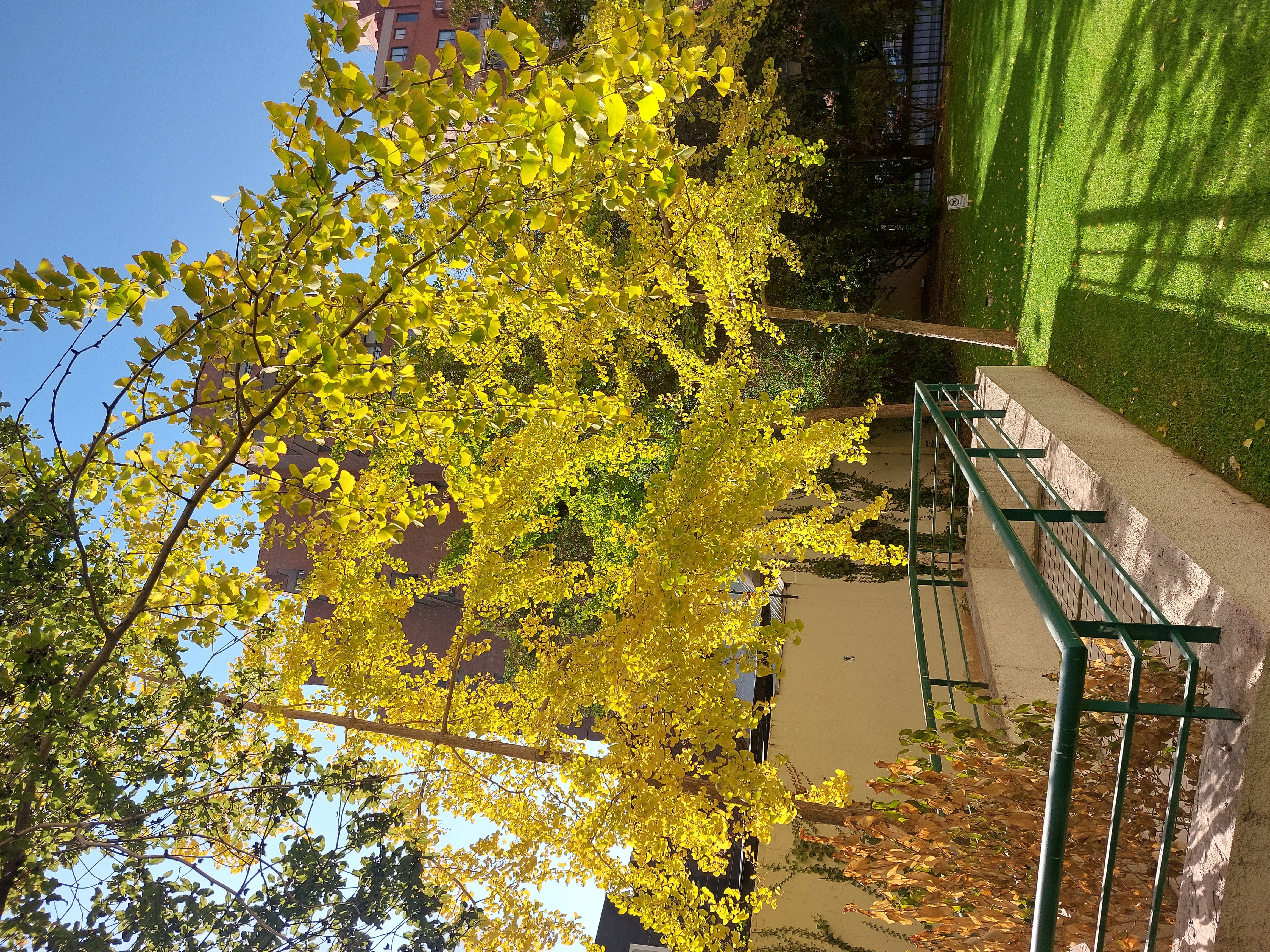 Venta Usado Departamento 1D 1B E B - Las Condes