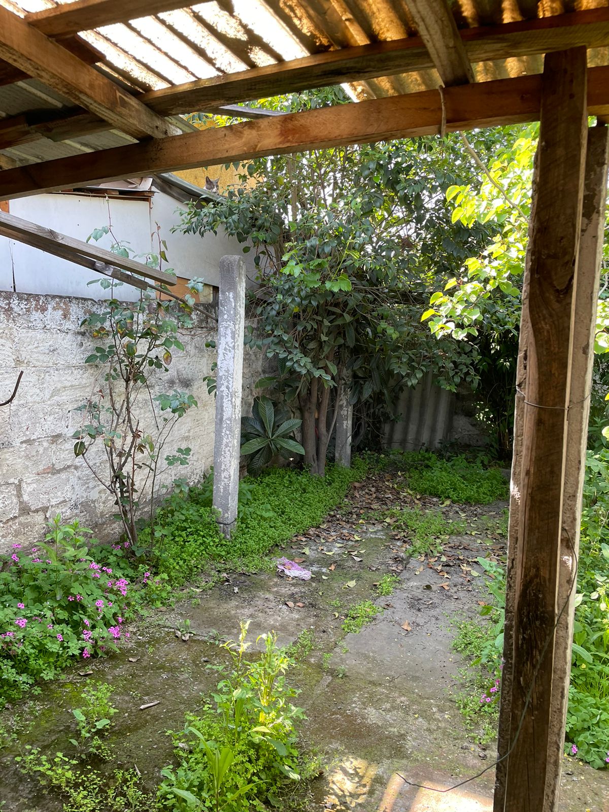 Venta Usado Casa 1D 1B - La Reina