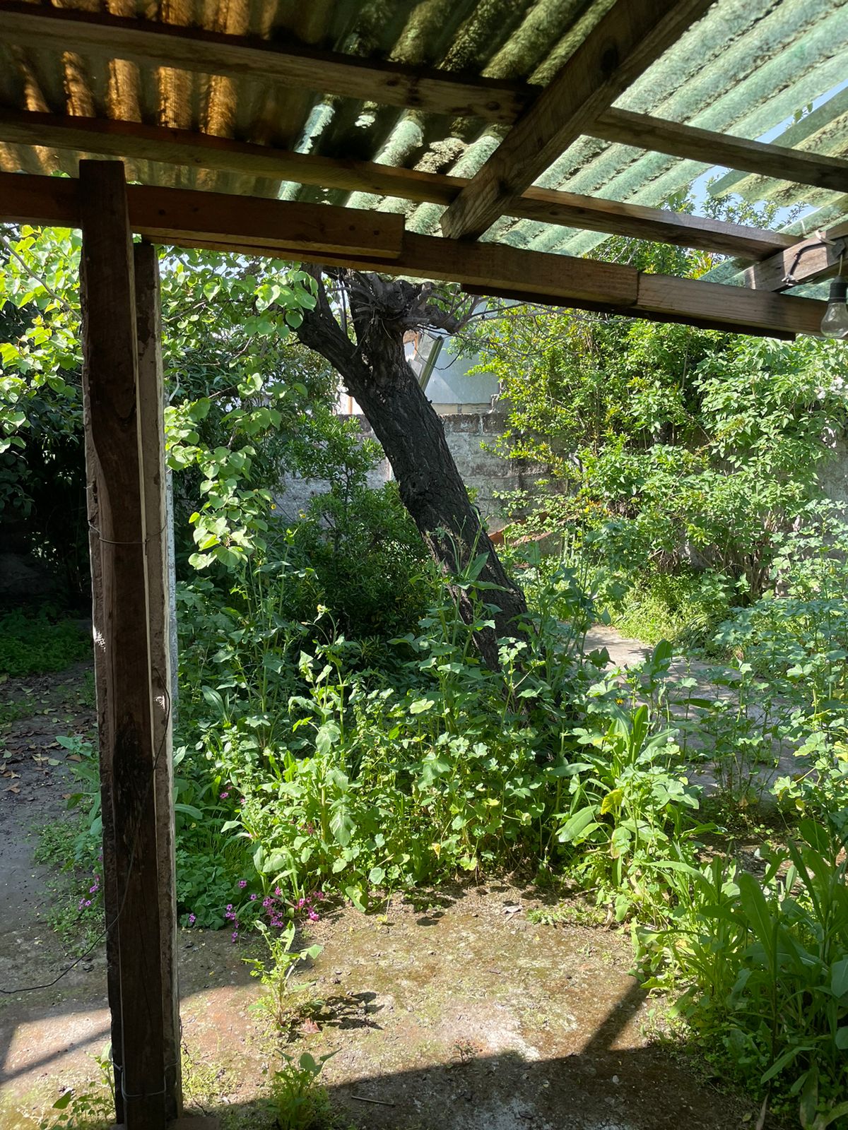 Venta Usado Casa 1D 1B - La Reina