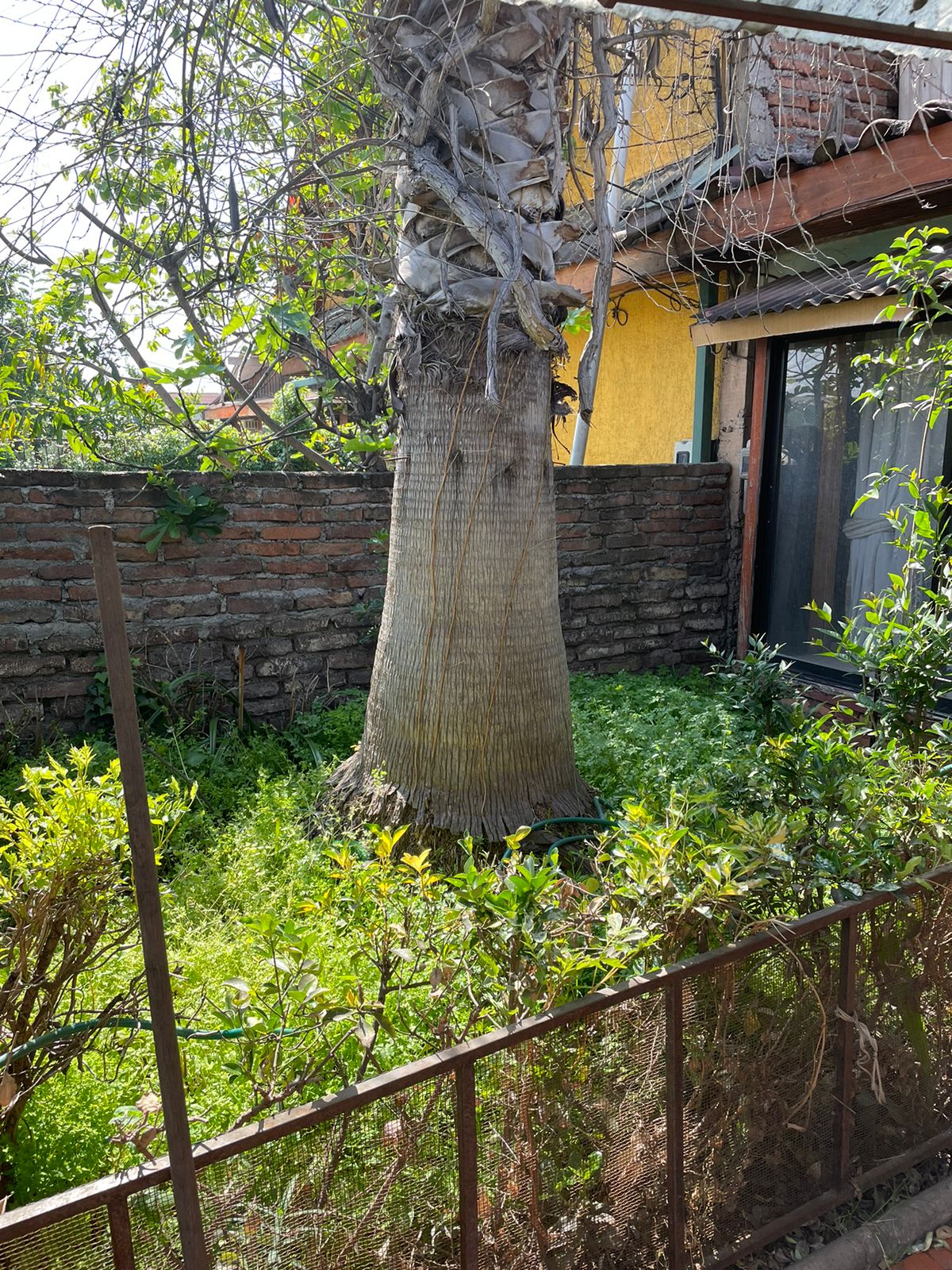 Venta Usado Casa 1D 1B - La Reina