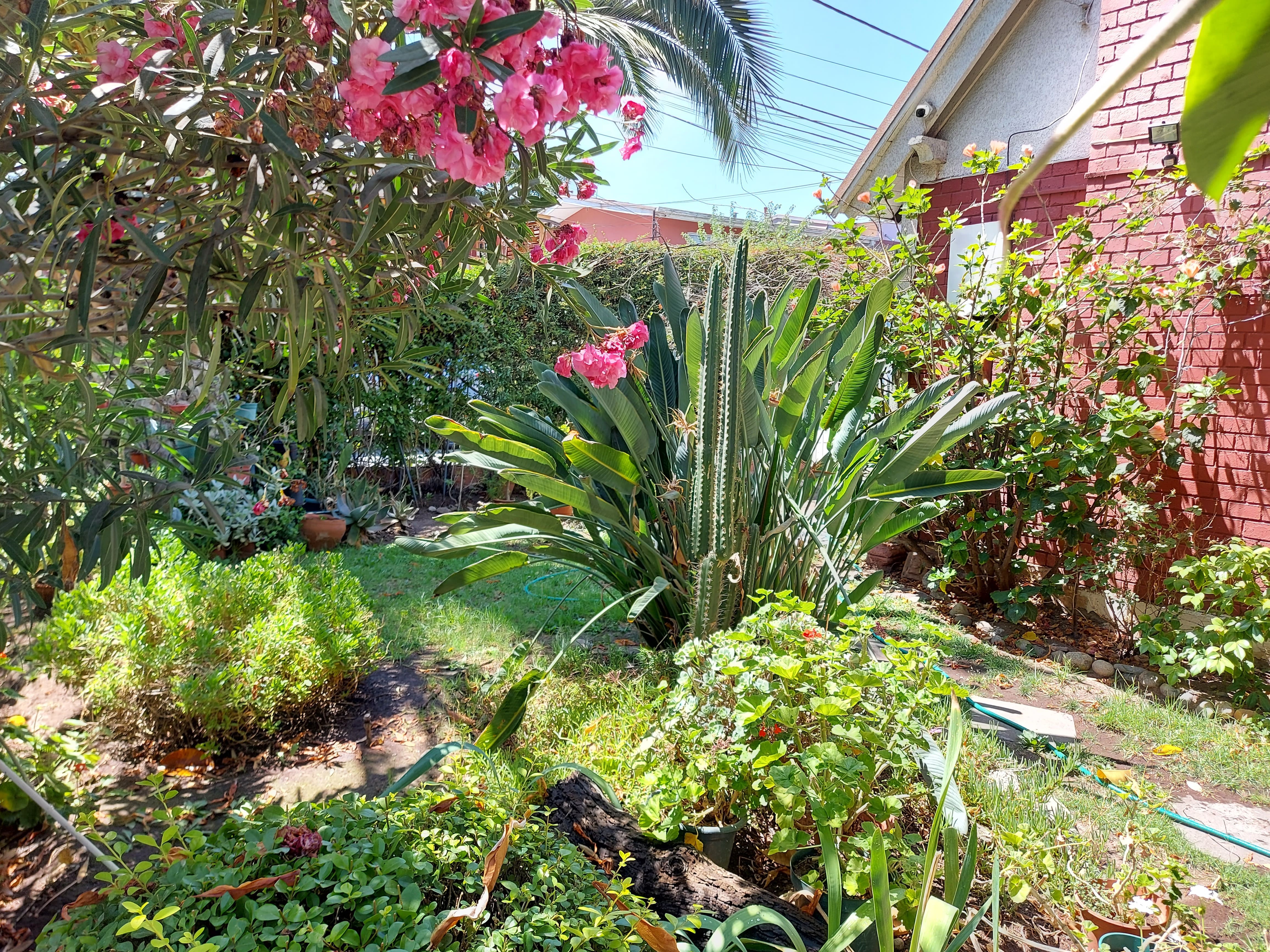 Venta Usado Casa 4D 3B - &Ntilde;u&ntilde;oa