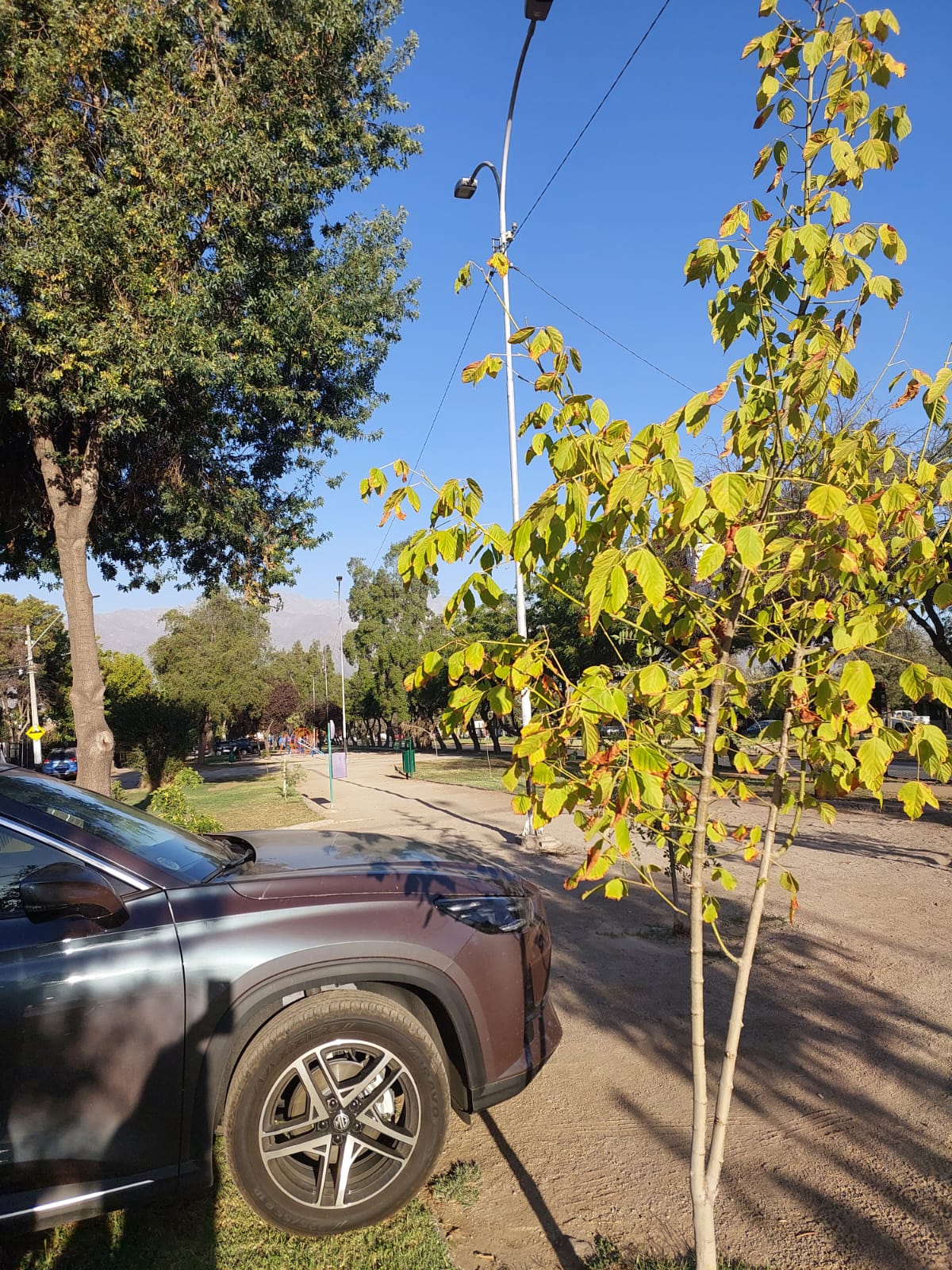 Venta Usado Casa 2D 2B E - &Ntilde;u&ntilde;oa