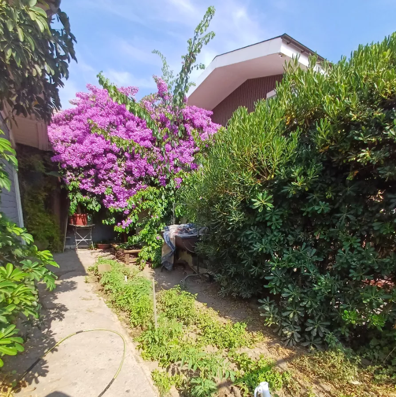 Venta Usado Casa 3D 2B E - La Reina