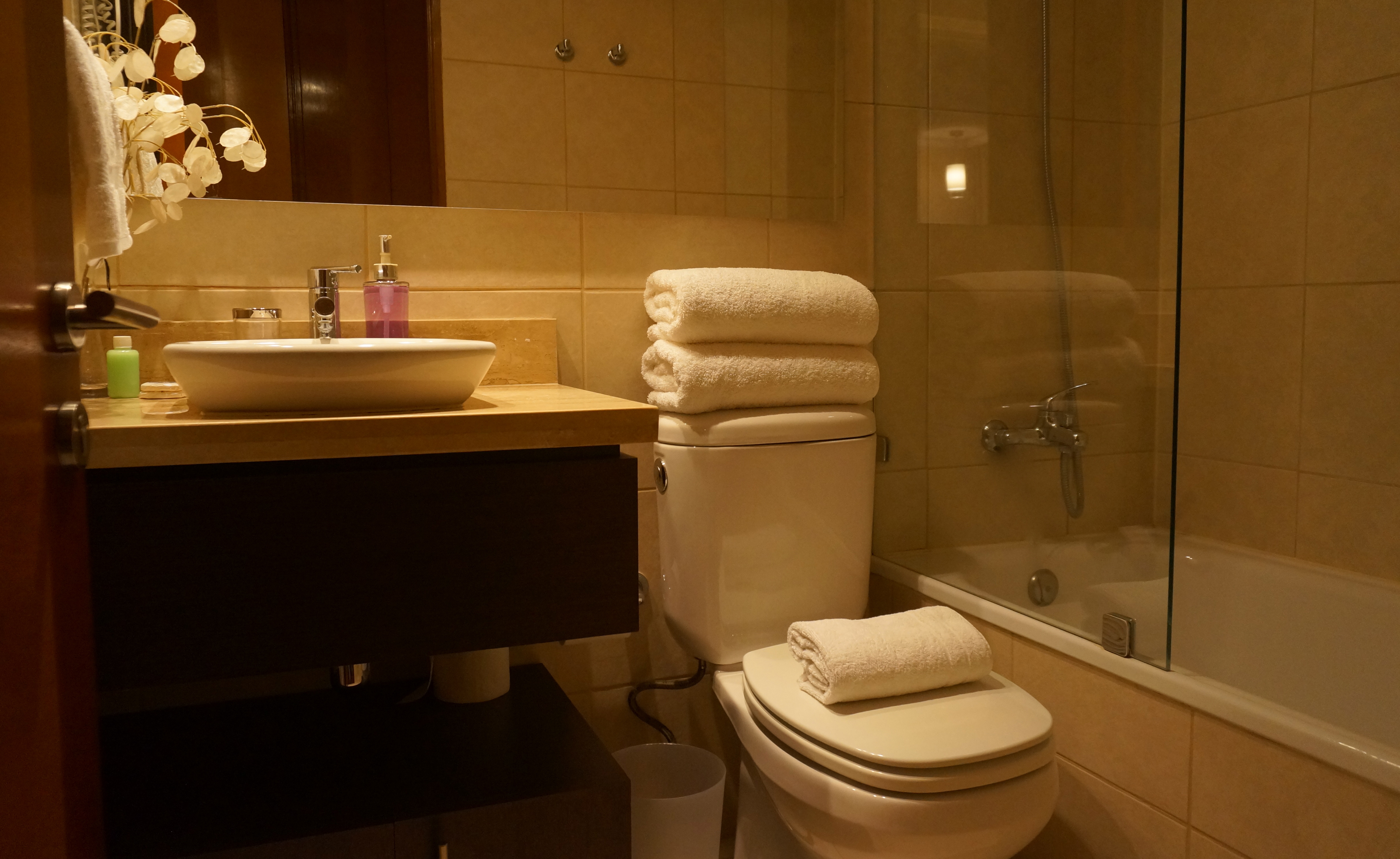 Arriendo Temporal Departamento 1D 1B - Providencia