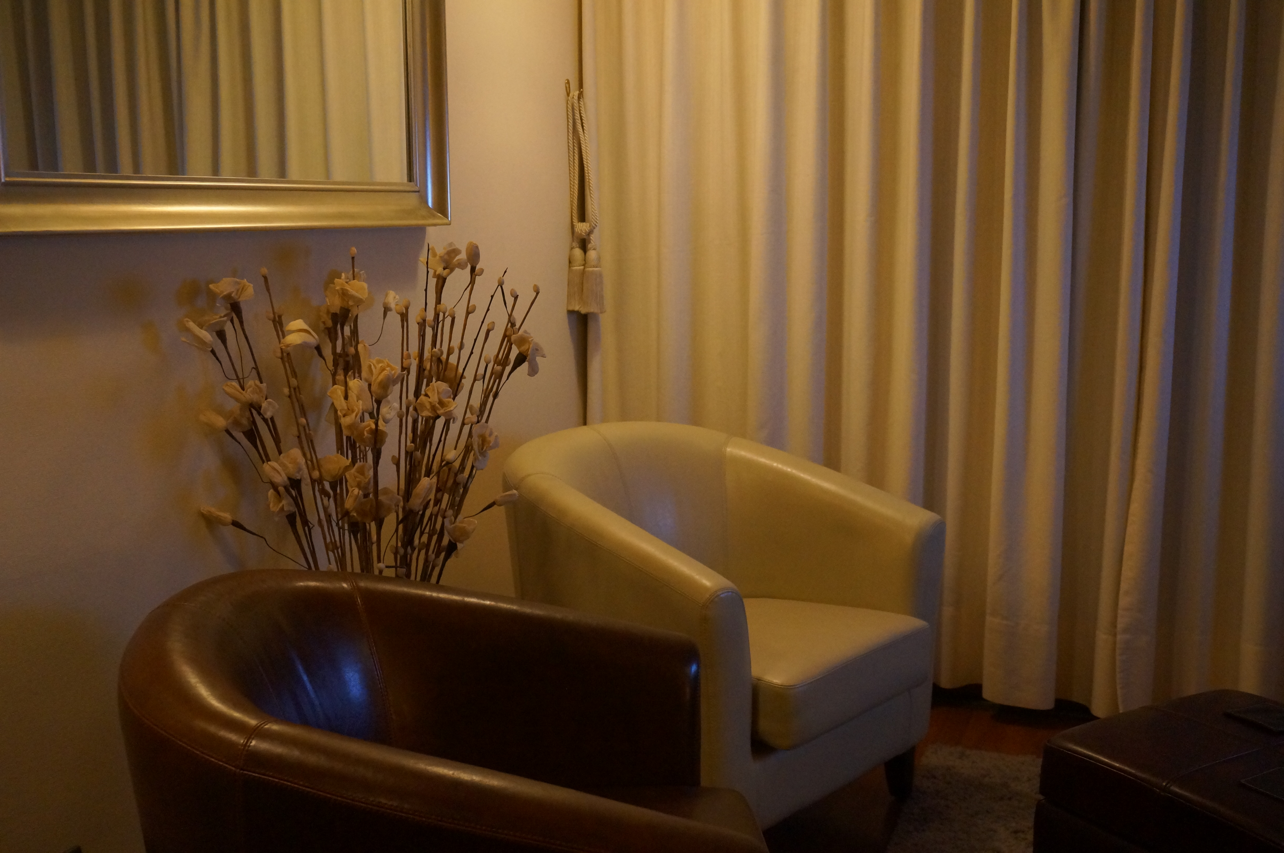 Arriendo Temporal Departamento 1D 1B - Providencia