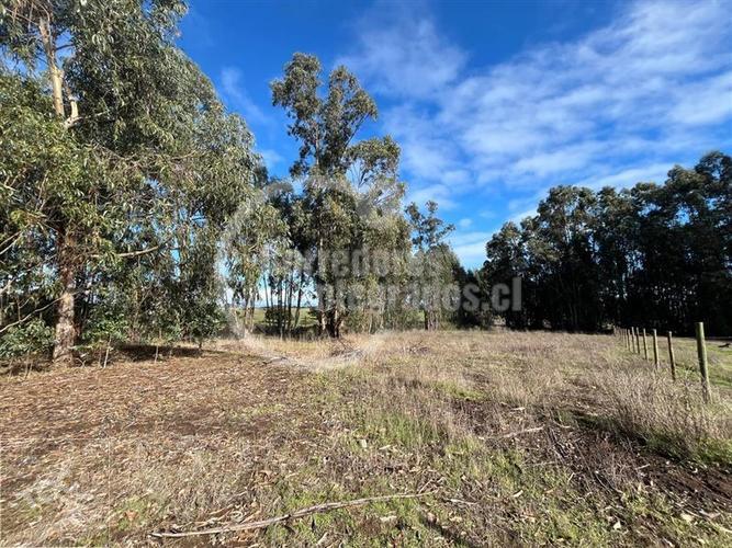 terreno en venta en Santo Domingo