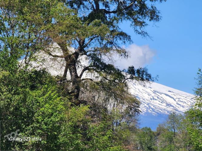 terreno en venta en Villarrica