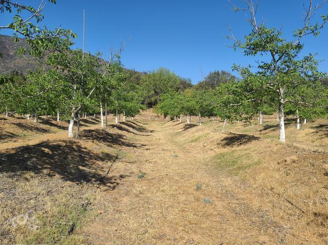 terreno en venta en Limache