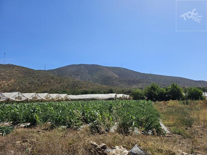 terreno en venta en Limache