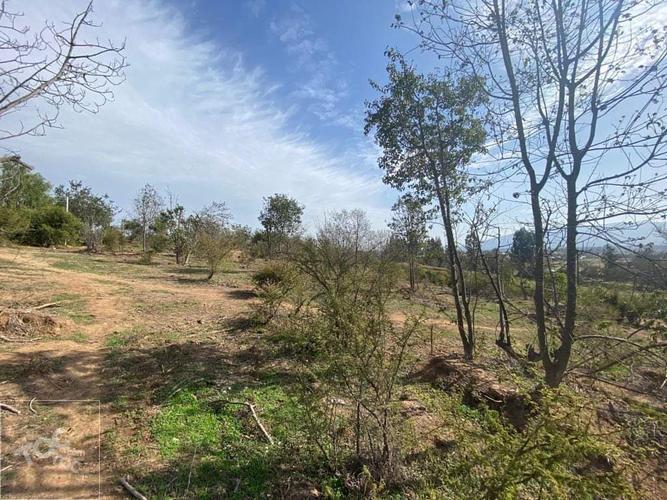 terreno en venta en Limache