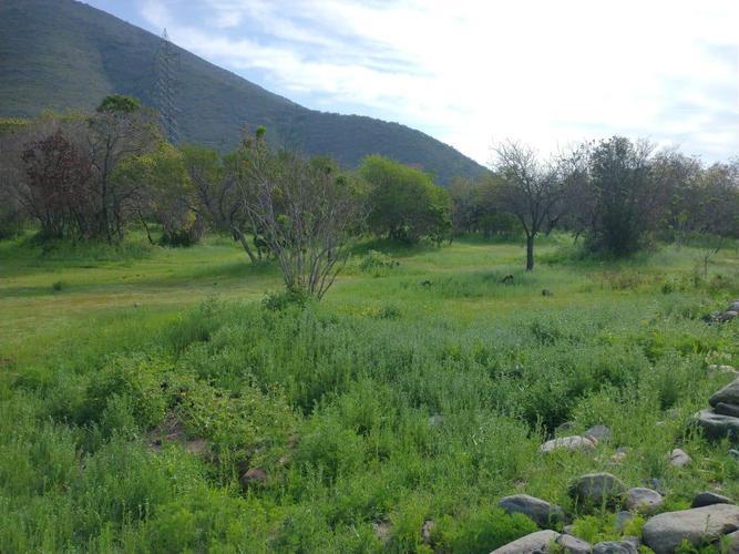 terreno en venta en Olmué