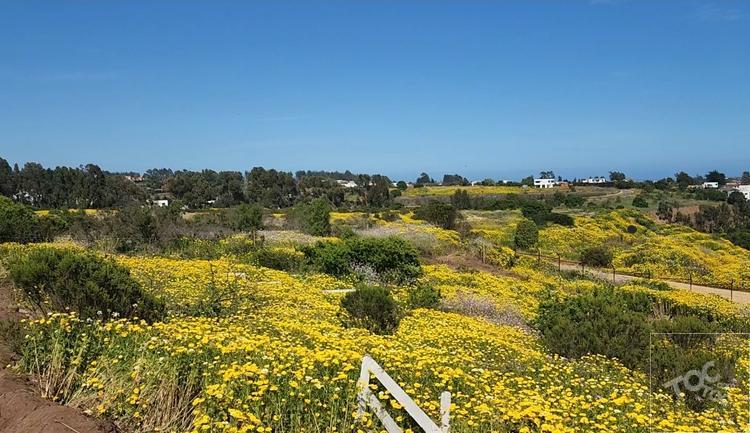 terreno en venta en Puchuncaví